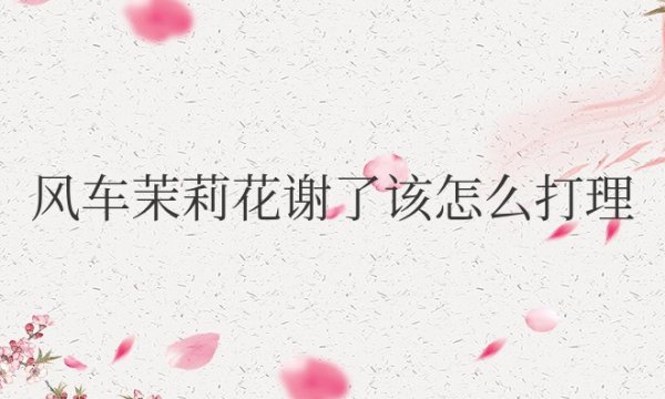 风车茉莉花谢了该怎么打理好看