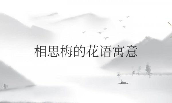 相思梅的花语寓意