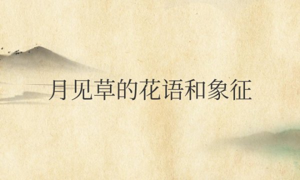 月见草的花语和象征意义