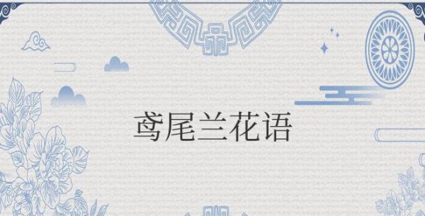 鸢尾兰花语和象征寓意是什么