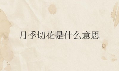 月季切花是什么意思 月季切花属于什么的花卉