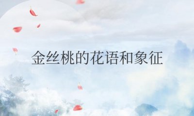 金丝桃的花语和象征 金丝桃的寓意和风水解读