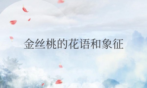 金丝桃的花语和象征