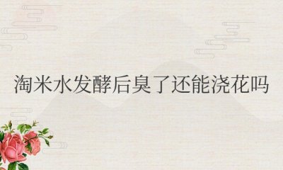 淘米水发酵后臭了还能浇花吗 淘米水发酵后有异味还适合用来浇花吗？