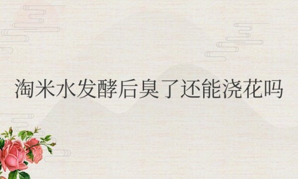 淘米水发酵后臭了还能浇花吗