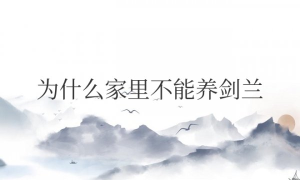 为什么家里不能养剑兰