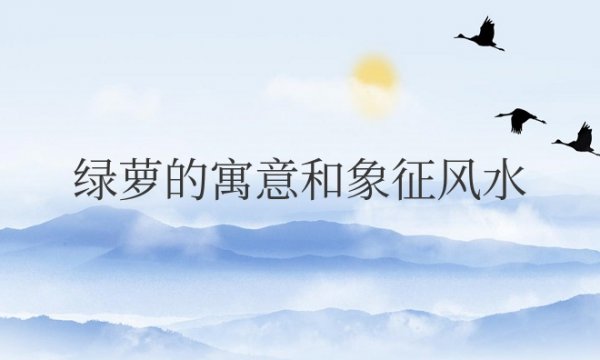 绿萝的寓意和象征风水禁忌