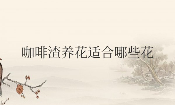 咖啡渣养花适合哪些花