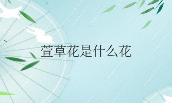 萱草花是什么花长什么样