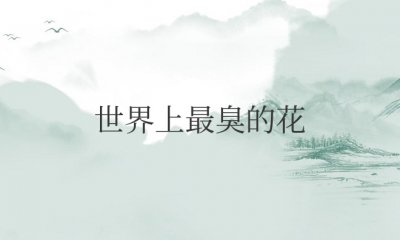 世界上最臭的花是哪种花？叫什么名字？