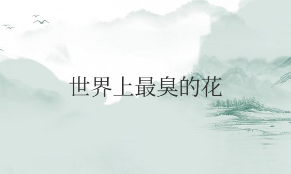 世界上最臭的花是哪种花？叫什么名字？
