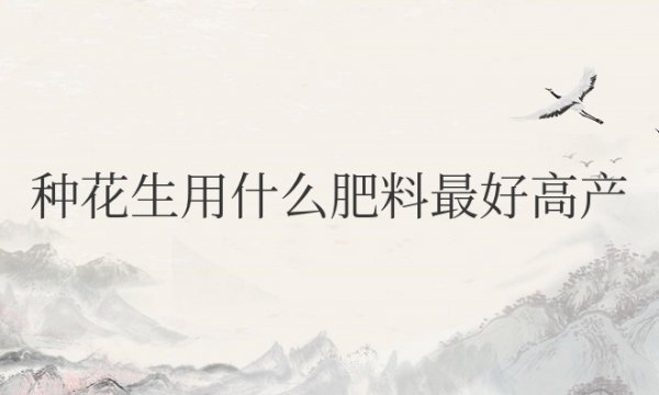 种花生用什么肥料最好高产