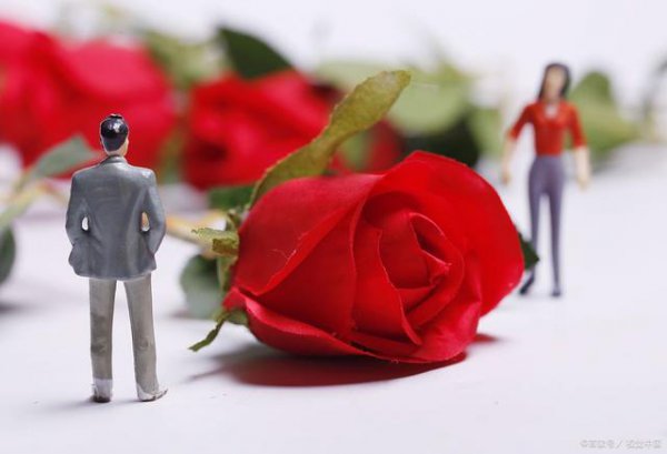 男人发一朵玫瑰花代表什么意思？怎么回复？