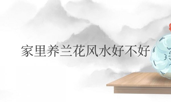家里养兰花风水好不好