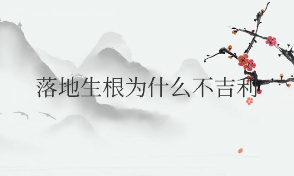 落地生根为什么不吉利