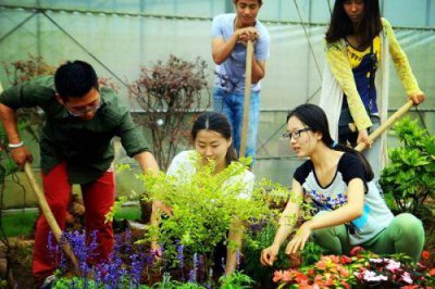 女生学园艺专业好吗好就业吗 园艺专业女生出来干什么工作