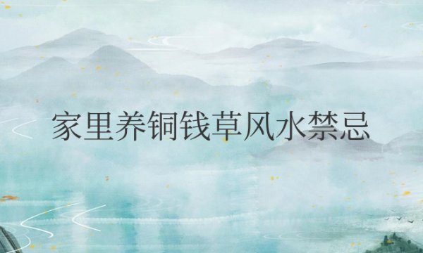 家里养铜钱草风水禁忌