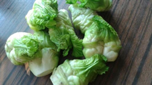 四川的儿菜是什么菜