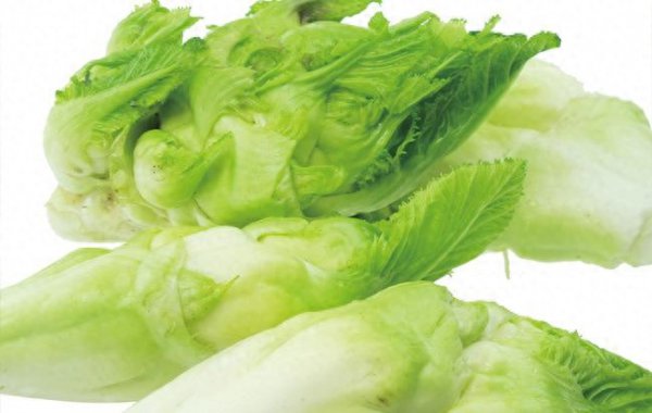 四川的儿菜是什么菜