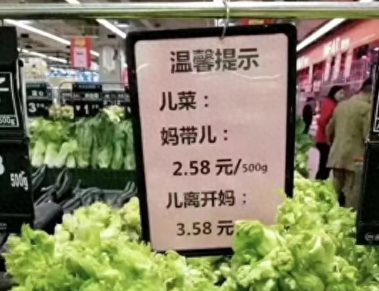四川的儿菜是什么菜