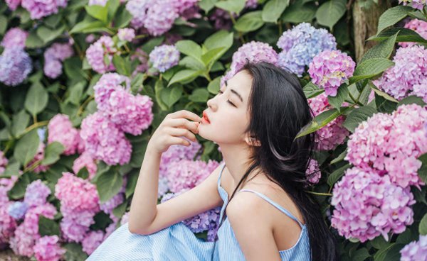 牡丹是哪个市的市花