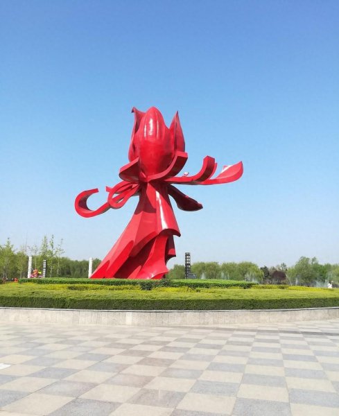 牡丹是哪个市的市花