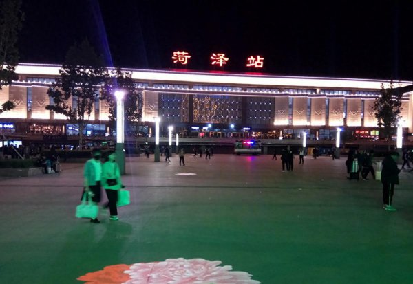 牡丹是哪个市的市花