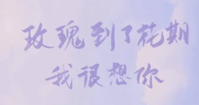 玫瑰到了花期暗示什么意思 表达“我很想你”的含义