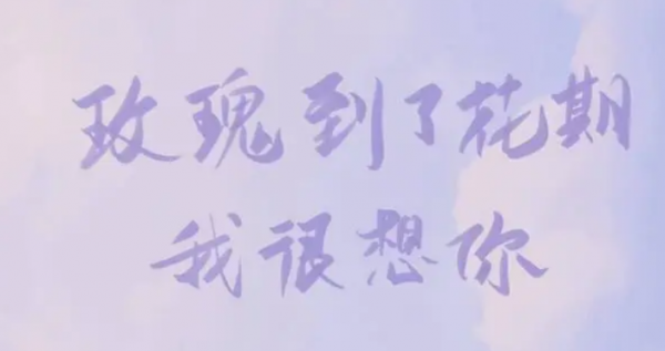玫瑰到了花期暗示什么意思