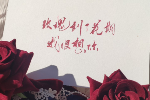 玫瑰到了花期暗示什么意思