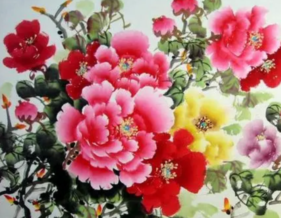 家里为何不能挂牡丹画