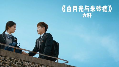白月光和朱砂痣指的是什么意思