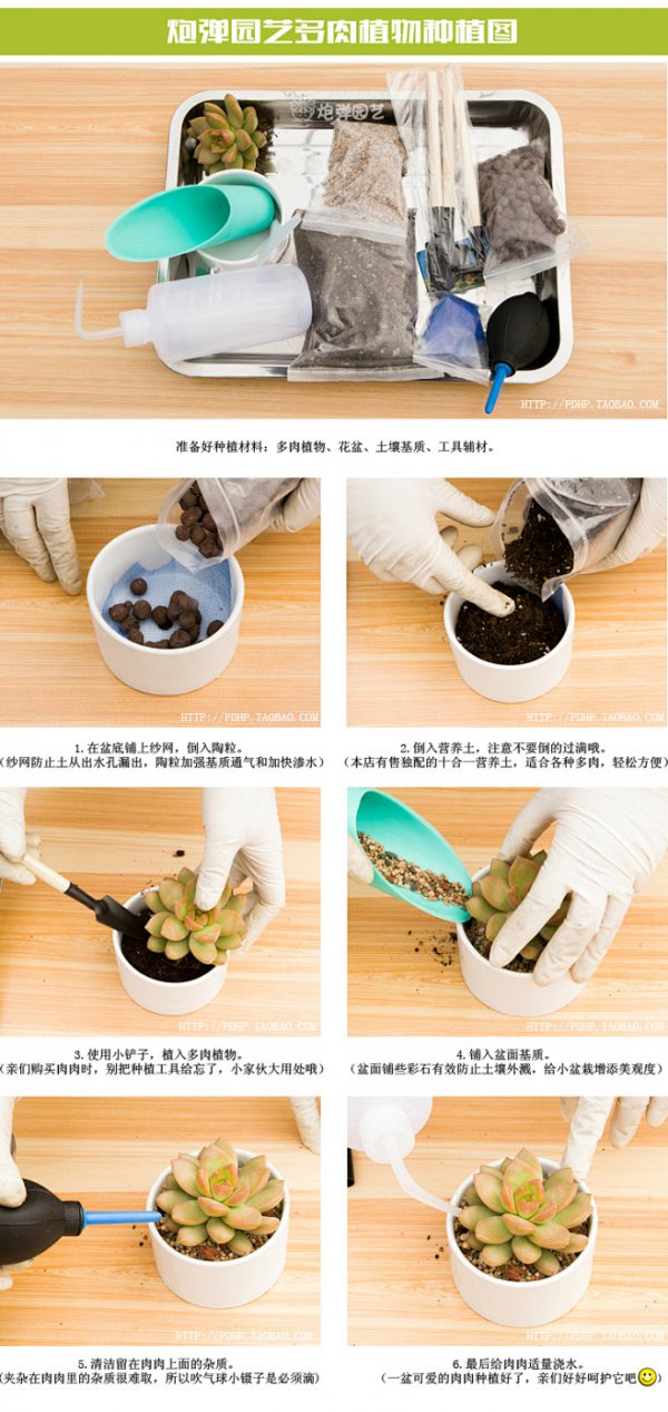 多肉秋天换盆注意点什么