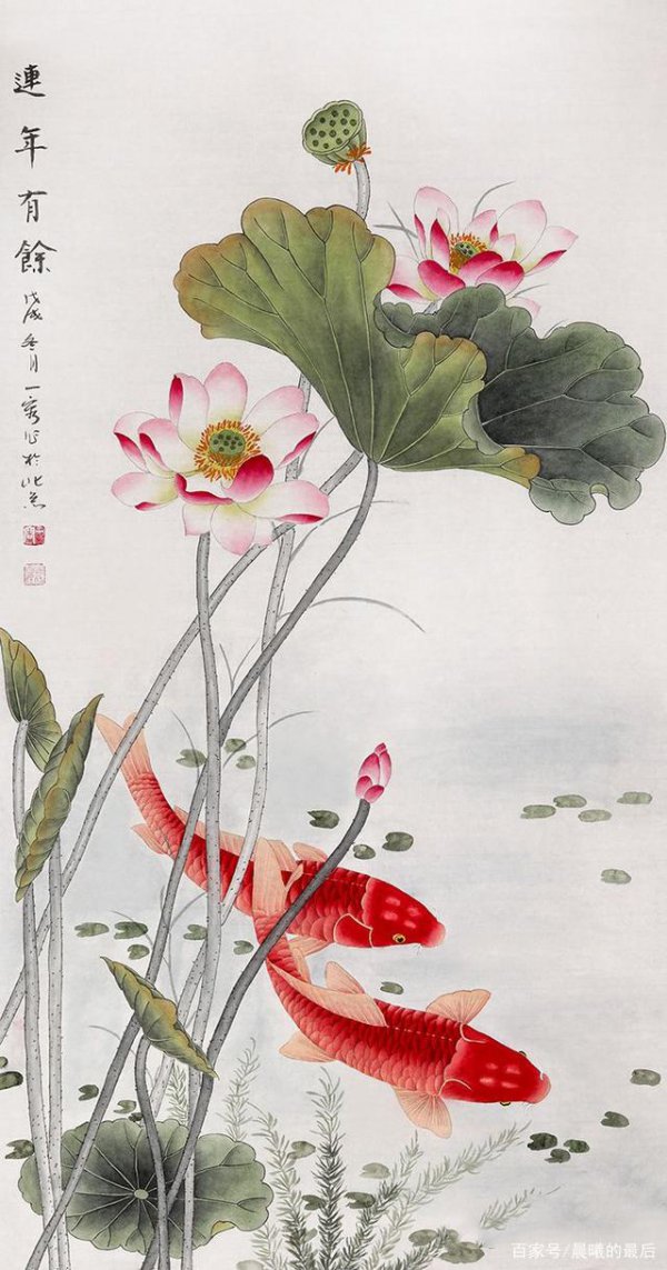 荷花的风水作用和禁忌是什么