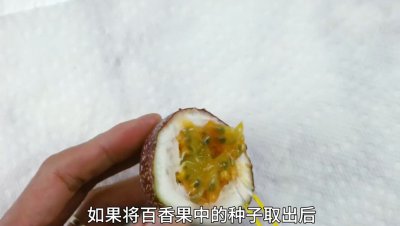 百香果籽的播种方法 百香果种子的种植技巧