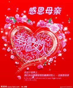 红色康乃馨代表什么 是对母亲的爱、感激和祝福