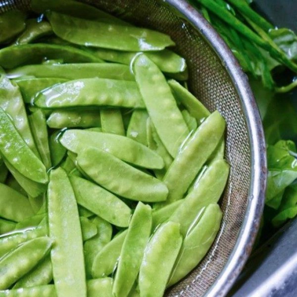 荷兰豆要掐尖吗