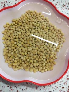 豌豆种子要泡多久才能种 豌豆种子需要浸泡多久才能发芽？