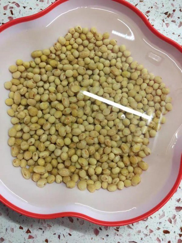 豌豆种子要泡多久才能种