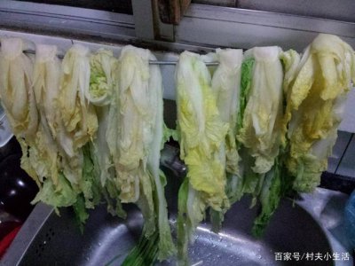 储存大白菜的最佳方法 保存大白菜的最佳方式