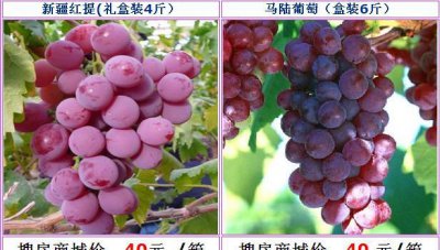 葡萄和提子是一个品种吗 葡萄和提子有相同的品种吗？
