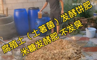 米糠可以做肥料吗 米糠可用作肥料吗？
