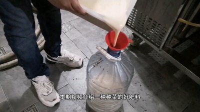 啤酒可以做肥料吗 啤酒可用作肥料吗？