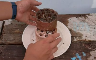 蜂窝煤可以做花土吗 蜂巢煤适合用作花园土壤吗？
