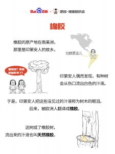 橡胶树的生长周期是多长时间 橡胶树的生长周期需要多久？
