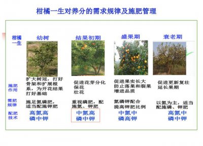 橘子的生长环境及生长地方条件 橘子的生长条件及栽培环境