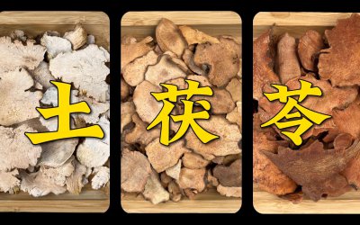 茯苓几月份种合适 什么时候是种茯苓的最佳时间？