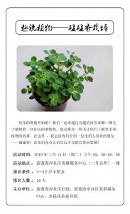 碰碰香能晒太阳吗 碰碰香会晒太阳吗？