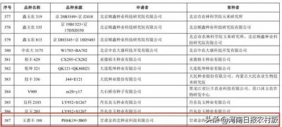 2022玉米国审品种审定公告 2022年度玉米国审品种公布