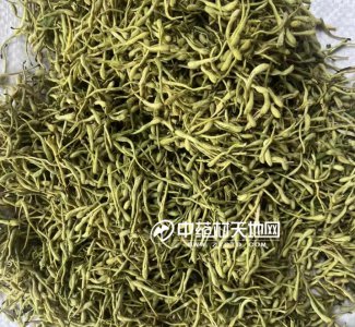 2022年金银花预测 2022年金银花市场展望
